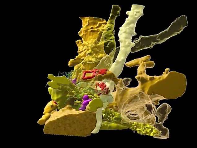 una estructura ramificada en 3D, de color groc, i alguns punts rojos o morats sobre ella